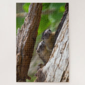 Marmot Brothers Legpuzzel (Verticaal)