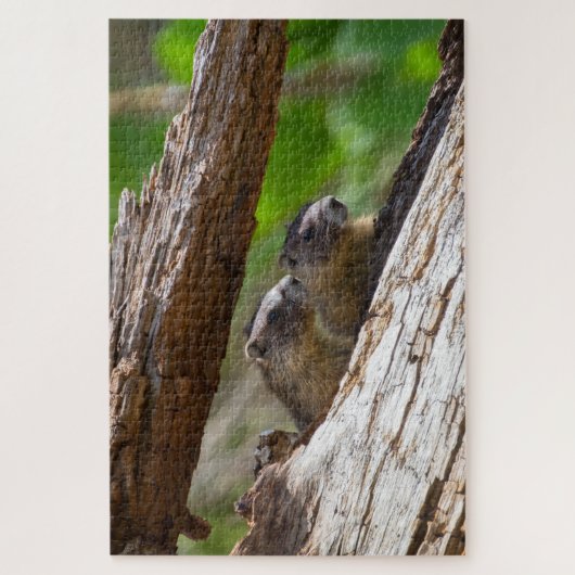 Marmot Brothers Legpuzzel (Verticaal)