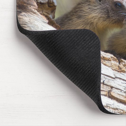 Marmot Brothers Muismat (Hoek)