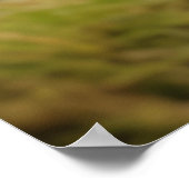 Marmot Dier Wild Beauty Freedom Wilderness Kunst Poster (Hoek)