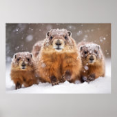Marmot Dierenfamilie Wandering Natuur Poster (Voorkant)