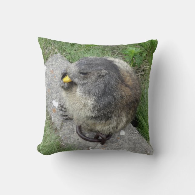 Marmot gooien kussen (Voorkant)