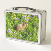 Marmot in Mount Rainier-wildbloemen (Achterkant)