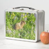 Marmot in Mount Rainier-wildbloemen (In situ)