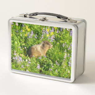 Marmot in Mount Rainier-wildbloemen