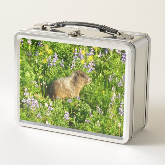 Marmot in Mount Rainier-wildbloemen (Voorkant)