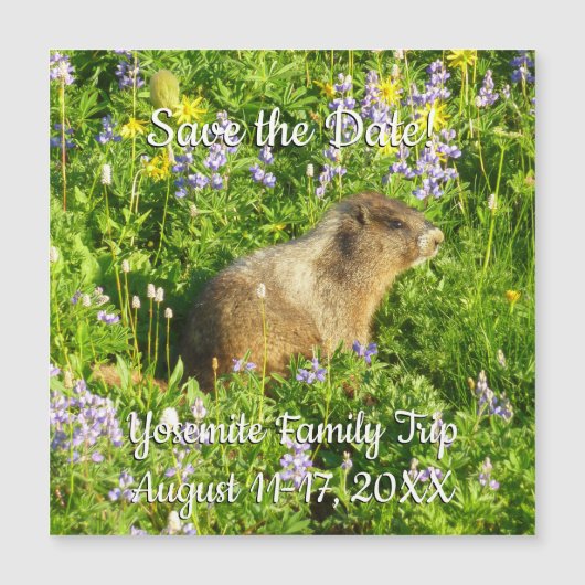 Marmot in Mount Rainier Wildbloemen (Voorkant)