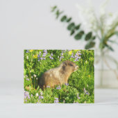 Marmot in Mount Rainier Wildbloemen Briefkaart (Staand voorkant)