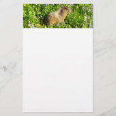 Marmot in Mount Rainier Wildbloemen Briefpapier (Voorkant)