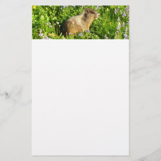 Marmot in Mount Rainier Wildbloemen Briefpapier (Voorkant)
