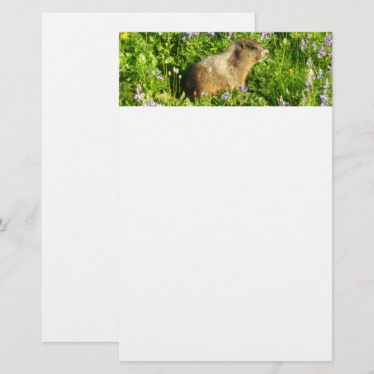 Marmot in Mount Rainier Wildbloemen Briefpapier (Voorkant / Achterkant)