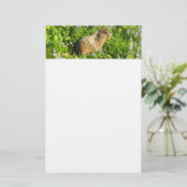 Marmot in Mount Rainier Wildbloemen Briefpapier (Staand voorkant)