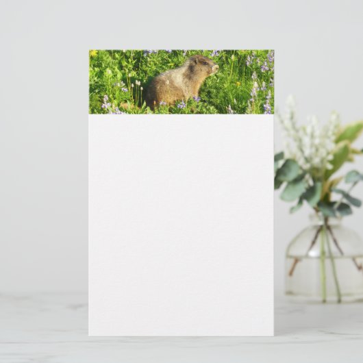 Marmot in Mount Rainier Wildbloemen Briefpapier
