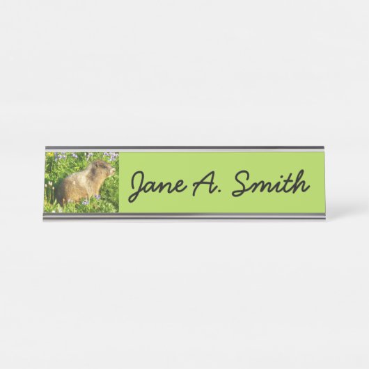 Marmot in Mount Rainier Wildbloemen Bureau Naambordje (Voorkant)