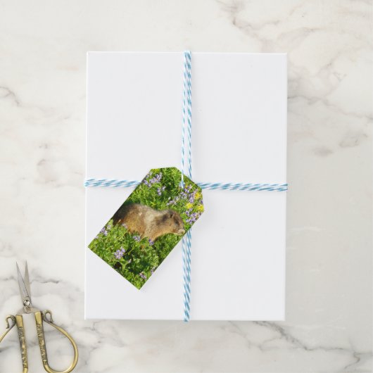 Marmot in Mount Rainier Wildbloemen Cadeaulabel (Met Touw)
