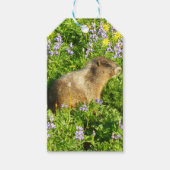 Marmot in Mount Rainier Wildbloemen Cadeaulabel (Voorkant)