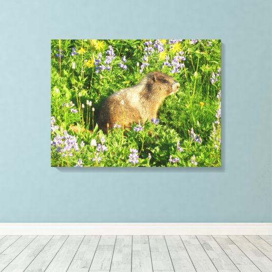 Marmot in Mount Rainier Wildbloemen Canvas Afdruk (Insitu (Houten vloer))
