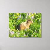 Marmot in Mount Rainier Wildbloemen Canvas Afdruk (Voorkant)