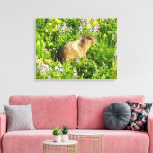 Marmot in Mount Rainier Wildbloemen Canvas Afdruk (Insitu (Woonkamer))