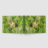 Marmot in Mount Rainier Wildbloemen Gastenboek (Volledig)