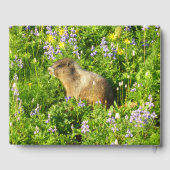 Marmot in Mount Rainier Wildbloemen Gastenboek (Achterkant)