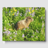 Marmot in Mount Rainier Wildbloemen Gastenboek (Voorkant)