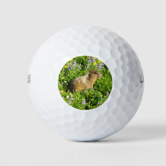 Marmot in Mount Rainier Wildbloemen Golfballen (Voorkant)