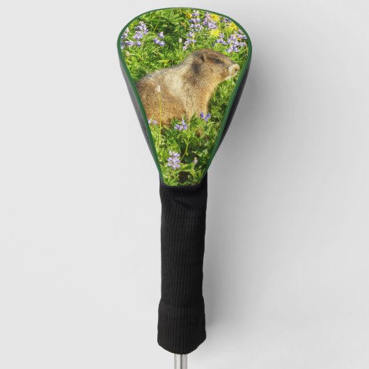 Marmot in Mount Rainier Wildbloemen Golfheadcover (Voorkant)