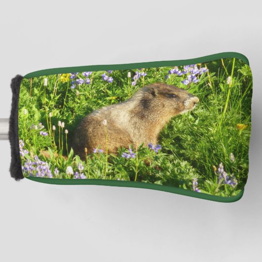 Marmot in Mount Rainier Wildbloemen Golfheadcover (Voorkant)