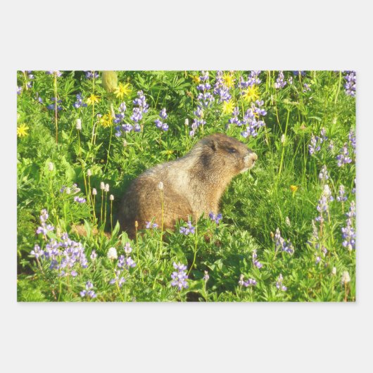 Marmot in Mount Rainier Wildbloemen Inpakpapier Vel (Voorkant 2)