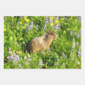Marmot in Mount Rainier Wildbloemen Inpakpapier Vel (Voorkant 3)