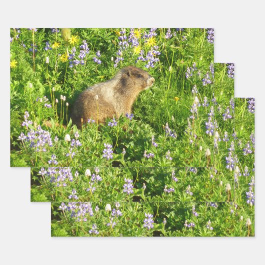 Marmot in Mount Rainier Wildbloemen Inpakpapier Vel (Set)