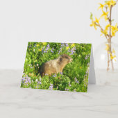 Marmot in Mount Rainier Wildbloemen Kaart (Gele Bloem)