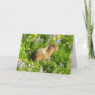 Marmot in Mount Rainier Wildbloemen Kaart