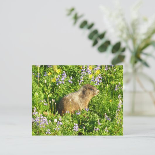 Marmot in Mount Rainier Wildbloemen Kaart (Staand voorkant)