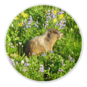 Marmot in Mount Rainier Wildbloemen Keramische Knop (Voorkant)