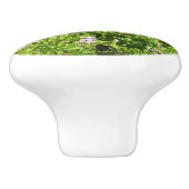 Marmot in Mount Rainier Wildbloemen Keramische Knop (Zijkant)