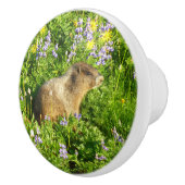 Marmot in Mount Rainier Wildbloemen Keramische Knop (Rechts)