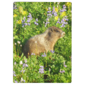 Marmot in Mount Rainier Wildbloemen Klembord (Achterkant)