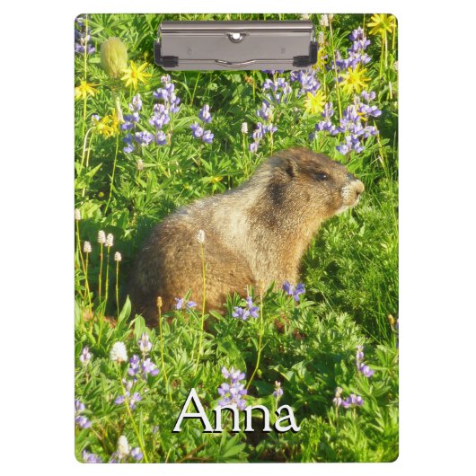 Marmot in Mount Rainier Wildbloemen Klembord (Voorkant)