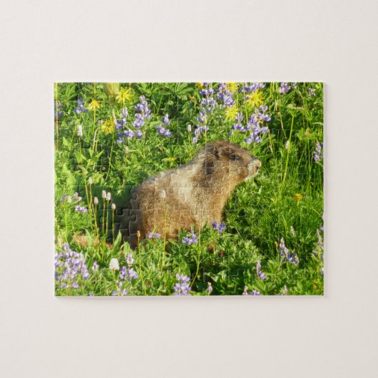 Marmot in Mount Rainier Wildbloemen Legpuzzel (Horizontaal)