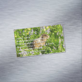 Marmot in Mount Rainier Wildbloemen Magnetisch Visitekaartje (Voorbeeld)