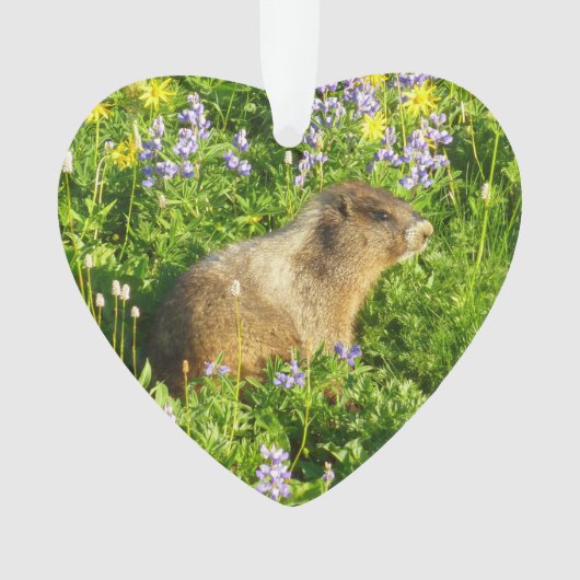 Marmot in Mount Rainier Wildbloemen Ornament (voorkant)