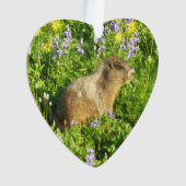 Marmot in Mount Rainier Wildbloemen Ornament (voorkant)