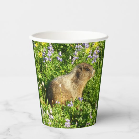 Marmot in Mount Rainier Wildbloemen Papieren Bekers (Voorkant)