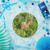 Marmot in Mount Rainier Wildbloemen Papieren Bordje (Feest)