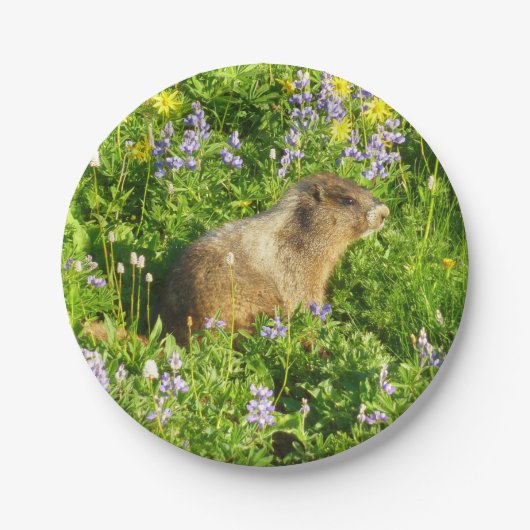 Marmot in Mount Rainier Wildbloemen Papieren Bordje (Voorkant)