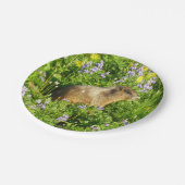 Marmot in Mount Rainier Wildbloemen Papieren Bordje (Gekanteld)