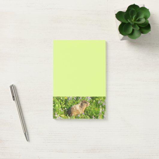 Marmot in Mount Rainier Wildbloemen Post-it® Notes (Kantoor)