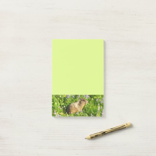 Marmot in Mount Rainier Wildbloemen Post-it® Notes (Op bureau)
